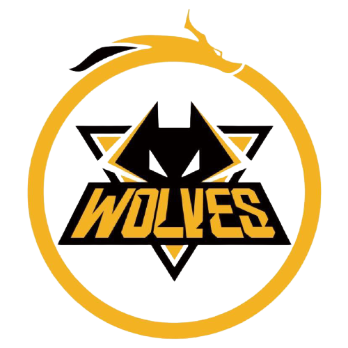 专业的模式 专业的模式