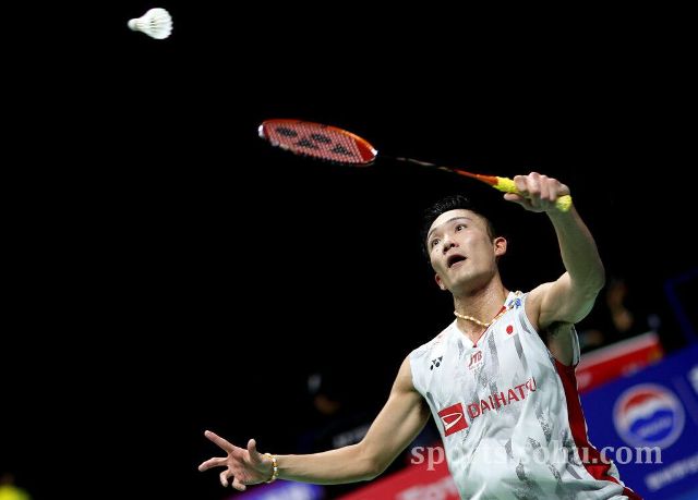 采用了更为 采用了更为