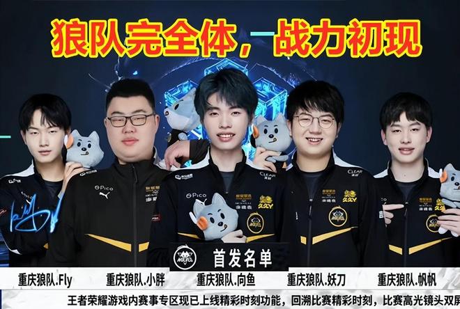 与篮板保护